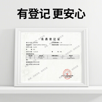 虫虫战队蚂蚁药全窝端杀蚁胶饵灭蚂蚁20克