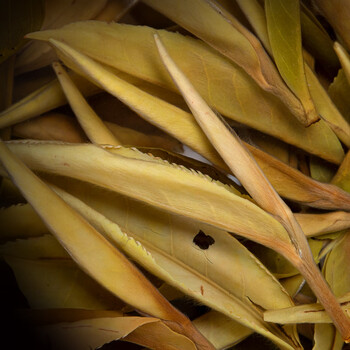 福茗源茶叶白茶 福鼎白茶贡眉300g 陈年紧压茶纸包茶饼老白茶叶自己喝 福茗源茶叶白茶 福鼎白茶贡眉300g 陈年紧压茶纸包茶饼老白茶叶自己喝