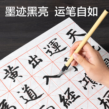 得力（deli） 墨汁书法专用墨水毛笔字练习方便墨汁 文房四宝初学者适合直接可用书法墨水100g开学文具