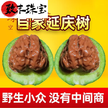 東京文玩育成】文玩核桃 野生小众 孤品