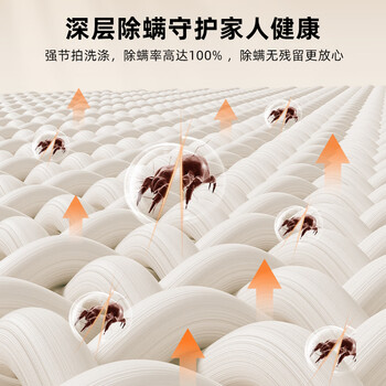 创维12公斤波轮洗衣机全自动家用大容量 抗菌除螨防污染 免清洗一级能效随机发货 国家家电补贴 T120J