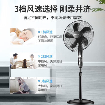 先锋家用五叶电风扇立式机械空气扇大风量摇头电扇落地扇客厅落地式风扇 FS40-16B