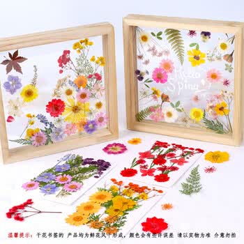 佳茉【热门商品】透明干花书签手工diy材料标本pvc塑封膜创意植物树叶压花瓣瓶26朵收集夏天