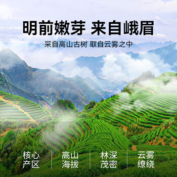 贡苑明前小叶苦丁茶250g 四川峨眉山头采新茶特嫩芽级节日礼盒送长辈