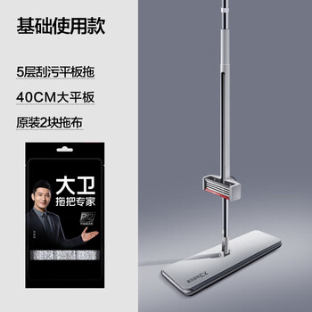 大卫 家用懒人一拖净加长免手洗拖地拖布两用1杆2头 P12-2平板拖把