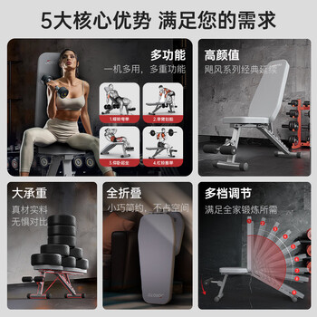 捷瑞特美国哑铃凳多功能健身椅卧推凳仰卧板腹肌健身器家用健身器材MD25