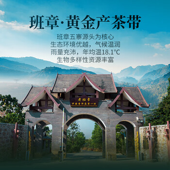 勐昌號茶叶普洱茶班章小金砖生茶216g云南班章五寨茶叶礼盒礼品