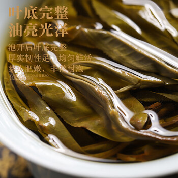 滇吉號茶叶普洱生茶2024年昔归古树散茶兰香回甘500克