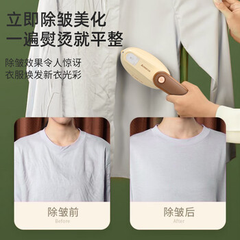 志高（CHIGO）【宿舍可用】手持挂烫机家用65ml水箱熨烫机电熨斗旅行出差便携小型迷你熨衣机熨衣服神器228C