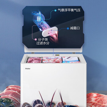 海尔（Haier）200升海尔冰柜家用小冰柜小型小冰箱小型冷柜京东自营家电BC/BD-200GHDT家电