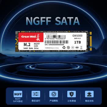长城（Great Wall）256GB SSD固态硬盘 M.2接口SATA协议 读速540MB/S GW1000系列