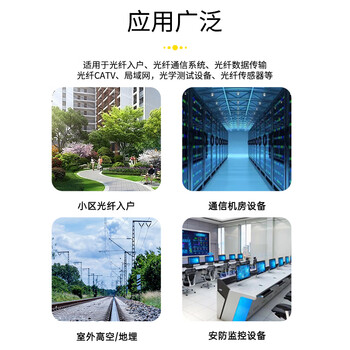 SK-LINK 单模双芯光纤皮线 室外2芯3钢丝成品光纤线尾纤免熔接户外低烟无卤 300米SC接头SWGL2SM-300M(SC)