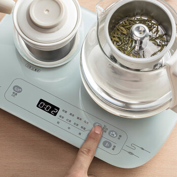 小熊 新中式煮茶器 0.8L 喷淋煮茶 茶汤分离 七大茶类 两种保温微电脑控制 ZCQ-A08E1 