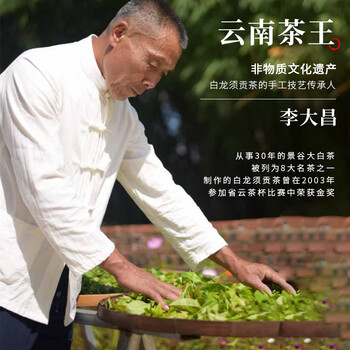 七春白毫银针 250g白茶罐装散茶叶可泡陈皮自喝特产地级父亲节送长辈