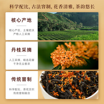 七春 桂花红茶武夷山浓香型茶叶礼盒500g 茶叶自己喝送老丈人礼物长辈