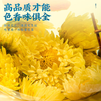 朕皇北京同仁堂 杭白菊胎菊花茶 无硫花蕾桐乡清花草茶泡水养生茶40g 朕皇北京同仁堂 杭白菊胎菊花茶 无硫花蕾桐乡清花草茶泡水养生茶40g