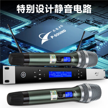 北极声无线一拖二娱乐KTV麦克风MS-X4