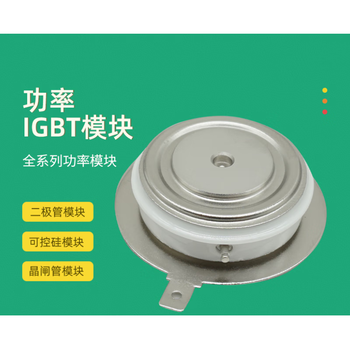 澜世 平板可控硅晶闸管 T430N12TOF 澜世 平板可控硅晶闸管 T430N12TOF