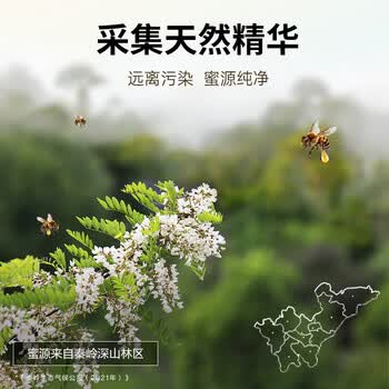 山萃 中粮蜂蜜 纯正荆条蜂蜜500g 成熟蜂蜜 天然滋补 节日团购福利