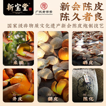 岭南新宝堂新会陈皮十年老陈皮蕴月瓶10年陈皮干250克玻璃瓶