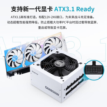 鑫谷（segotep）GM850W ATX3.1金牌全模组冰山版电源（12V-2X6支持5070Ti/5060Ti显卡/白色台式电脑主机箱电源）