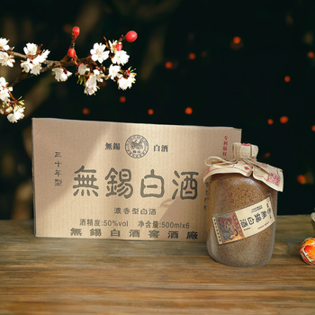 サッポロ クラフトスパイスソーダ 缶 ( 350ml×24本入