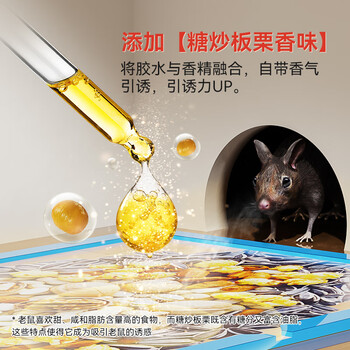 达豪 粘鼠板一强力粘板窝老鼠贴捕捉鼠神器端坚果图案老鼠胶6张 达豪 粘鼠板一强力粘板窝老鼠贴捕捉鼠神器端坚果图案老鼠胶6张