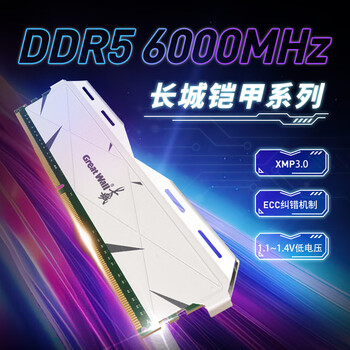 长城（Great Wall）32G(16G*2)套条 DDR5 6000 马甲条 台式机内存条 