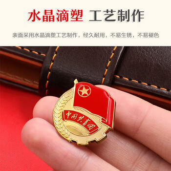 欧唛（oumai） 共青团团徽 胸章标准款 别针磁扣款 学生团员团徽 5枚装 团徽2CM别针款