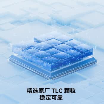 雷克沙（Lexar）256GB USB3.2 行车记录车载U盘A50V 哨兵模式循环录像 小米小鹏特斯拉多车型适配