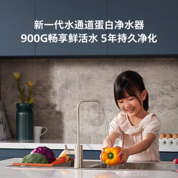 飞利浦（PHILIPS）净水器家用净水机900G 5年长效RO反渗透 2.3L/分大流速 母婴厨下双出水净水器AUT7007【国家补贴】