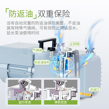 力辰（LICHEN）旋片式真空泵 实验室抽气工业用小型油泵双级汽车空调泵 2XZ-2