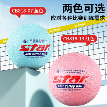 世达气排球8号球成人训练比赛标准用球气排球乳胶 软排蓝色CB818-07