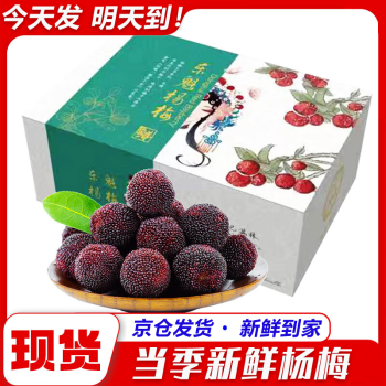 大果东魁杨梅品牌及商品- 京东