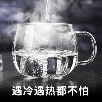 富光花茶杯 男女士茶水分离杯子 双层办公泡茶玻璃杯带把高硼硅水杯