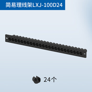 定制适用1UPDU电话网线跳线光纤网络机柜通道式理线架配线架24口48口 简易款直通LXJ100(48口)【图片 价格 品牌 报价】-京东
