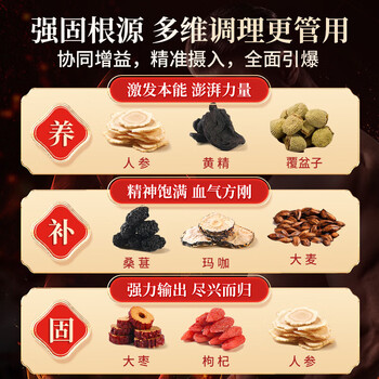 同仁堂(TRT)人参五宝茶黄精玛咖枸杞肾茶男士滋补160g/盒 同仁堂(TRT)人参五宝茶黄精玛咖枸杞肾茶男士滋补160g/盒