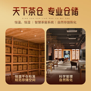 鼎存白茶福鼎寿眉一级50g2019年散茶盒装自己喝自饮茶叶