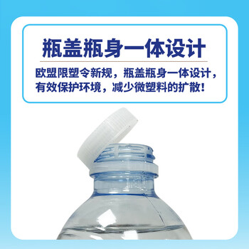 圣安娜（Sant' Anna）天然饮用水 500ml*24 整提装意大利原装进口高海拔天然泉水