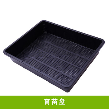 一次性育苗盆双色盆营养钵塑料简易花盆大号育苗双色花盆种植盆 多肉