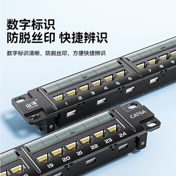 SAMZHE山泽 超六类非屏蔽24口网络配线架 CAT6万兆网络配线架 镀金20U机架式机柜网线理线架 WAN-20 SAMZHE山泽 超六类非屏蔽24口网络配线架 CAT6万兆网络配线架 镀金20U机架式机柜网线理线架 WAN-20