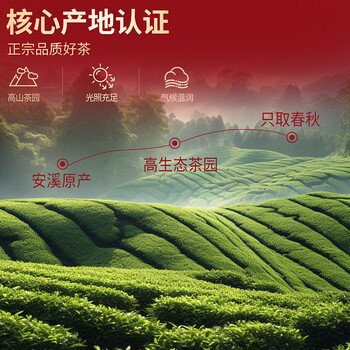 忆江南铁观音茶叶礼盒装300g节日送礼送父母长辈老丈人礼物皇品