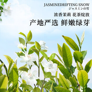 福东顺 茶叶 新茶茉莉花茶龙珠特级浓香型花草茶茉莉香珠袋装500g