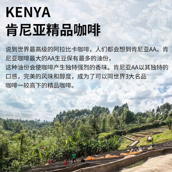 LUJIAZUI鹿家嘴肯尼亚 尼耶里AA手冲浅度烘焙单品阿拉比卡精品咖啡豆200g 
