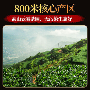 传奇会乌龙茶 感恩 安溪铁观音清香型 一级250g礼盒装 茶叶自己喝