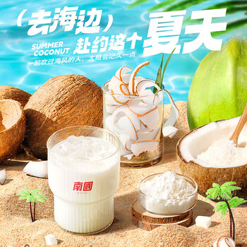 南国冷萃纯椰子粉320gx2袋 海南特产速溶椰奶椰汁粉速溶冲饮早餐
