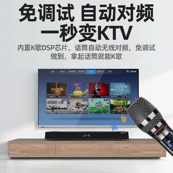 SANSUI山水 木质K歌版一体机回音壁 2.1声道 家庭KTV组合音响电视音响 家庭影院套装带麦克风 DV-91D