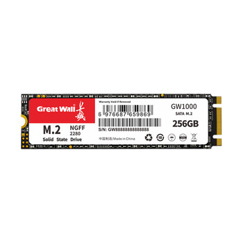 长城（Great Wall）256GB SSD固态硬盘 M.2接口SATA协议 读速540MB/S GW1000系列