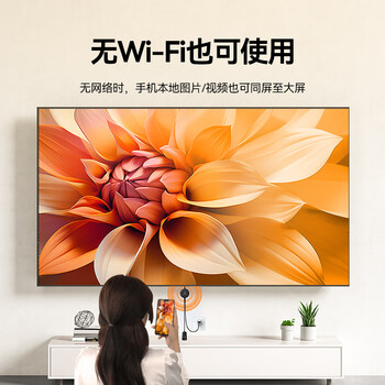 山泽 手机无线投屏器 4K高清HDMI音视频同屏传输器 适用苹果安卓华为手机电脑电视显示器投影仪WP02