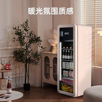 HCK冰吧243升复古超薄大容量冷冻室客厅冰箱家用墩墩吧Pro嵌入式保鲜柜立式冰柜SC-330RD-S暖灰色